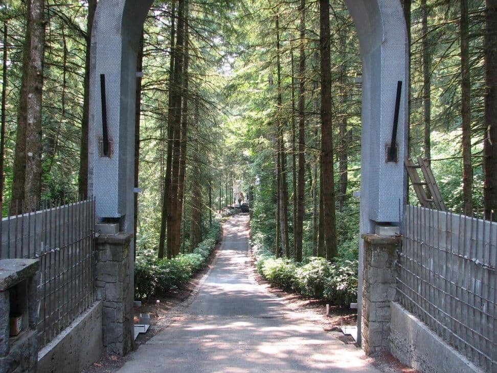 Archway forest driveway view