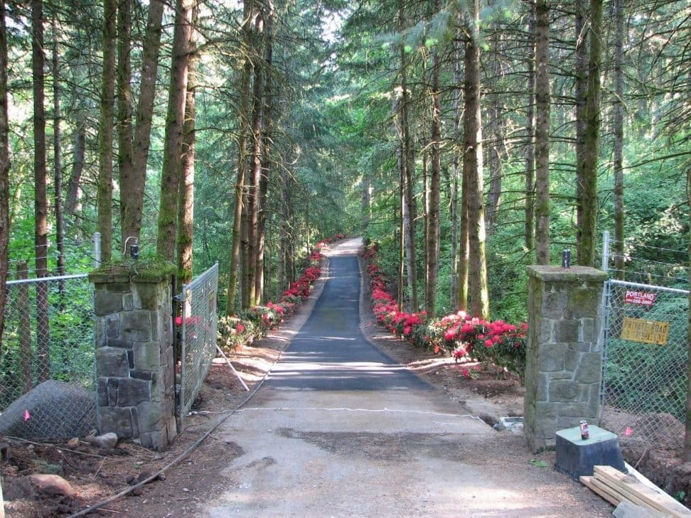 Gated driveway rhododendron blooms