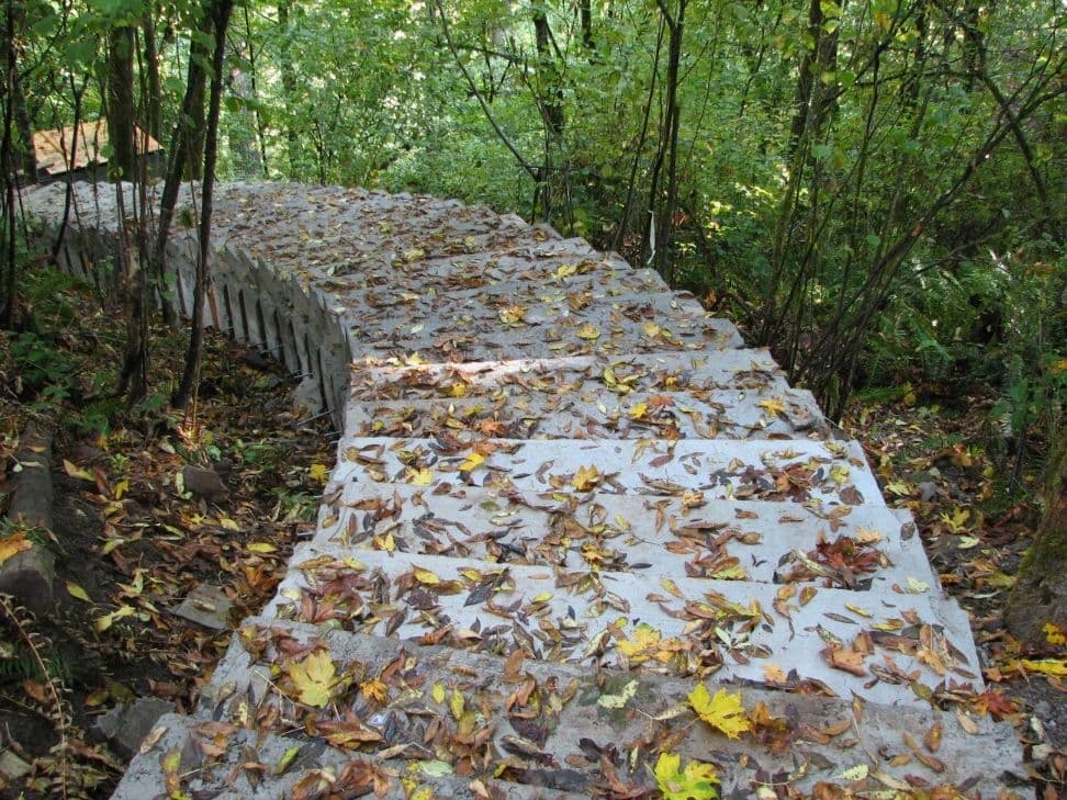 Leaf covered concrete forest stairs