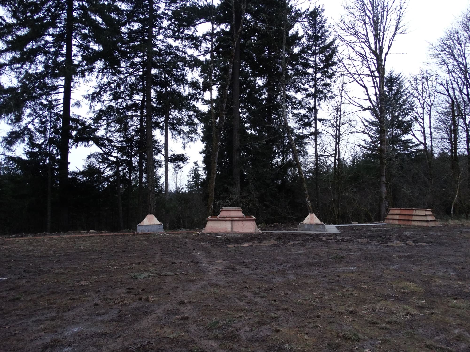 Wooden forms forest dusk