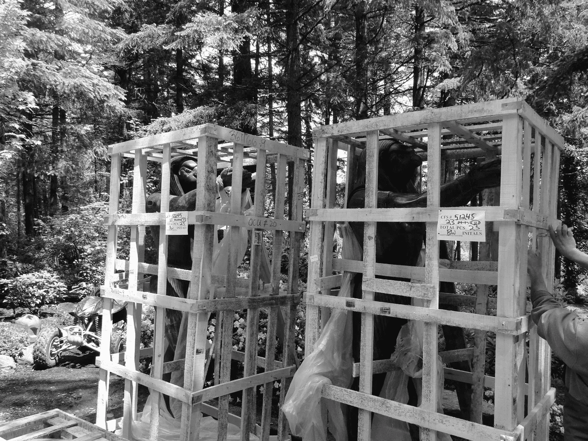 Two Egyptian falcon statues standing inside wooden shipping crates among the fir trees
